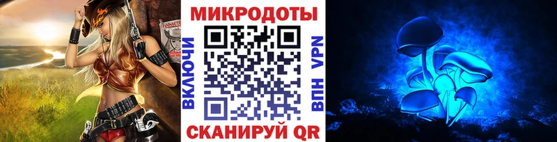 где купить наркотик  Павловская  Псилоцибиновые грибы Cubensis 